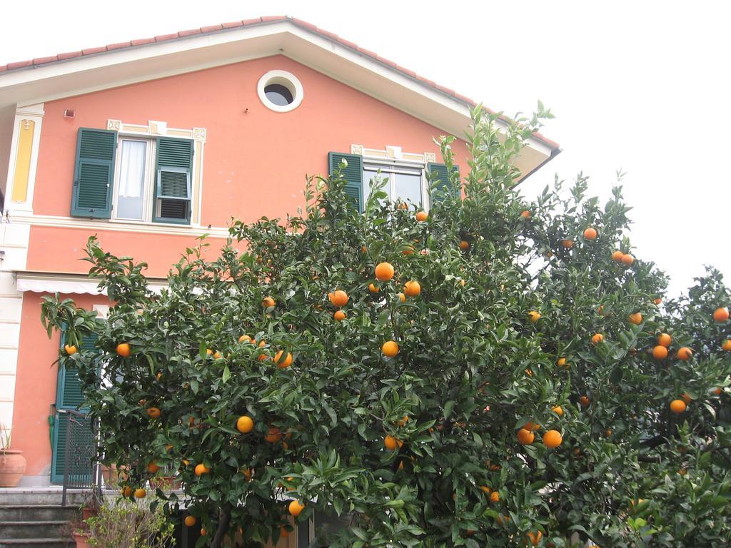 Le Clementine B&B Camogli Luaran gambar