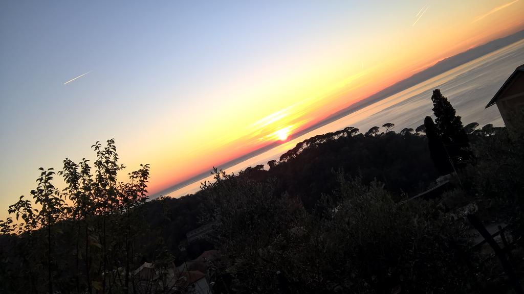Le Clementine B&B Camogli Luaran gambar
