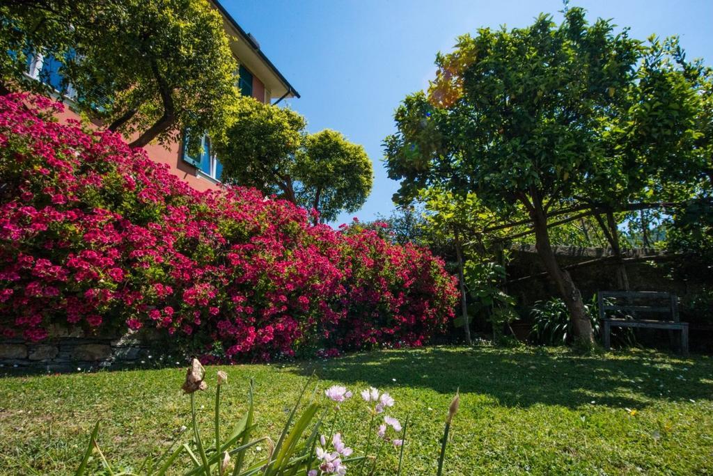 Le Clementine B&B Camogli Luaran gambar