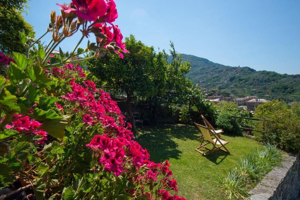 Le Clementine B&B Camogli Luaran gambar