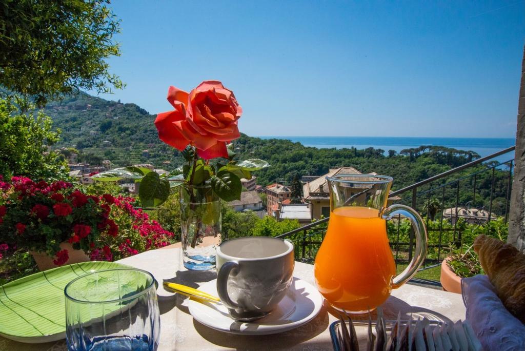 Le Clementine B&B Camogli Luaran gambar